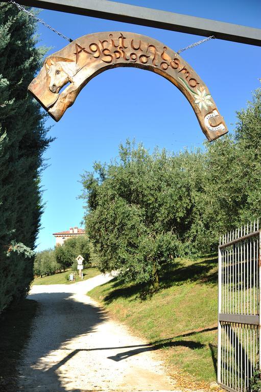 Agriturismo Spigolo Avesa المظهر الخارجي الصورة