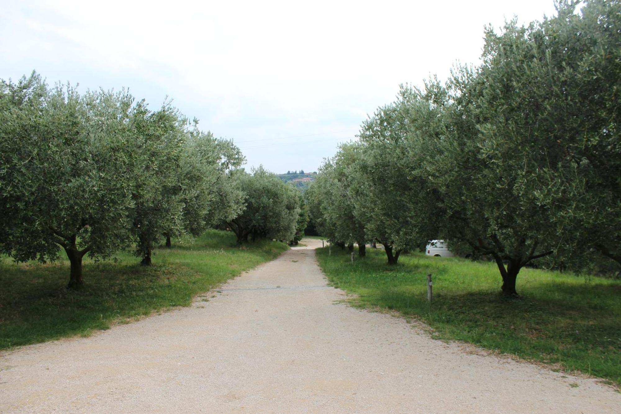 Agriturismo Spigolo Avesa المظهر الخارجي الصورة