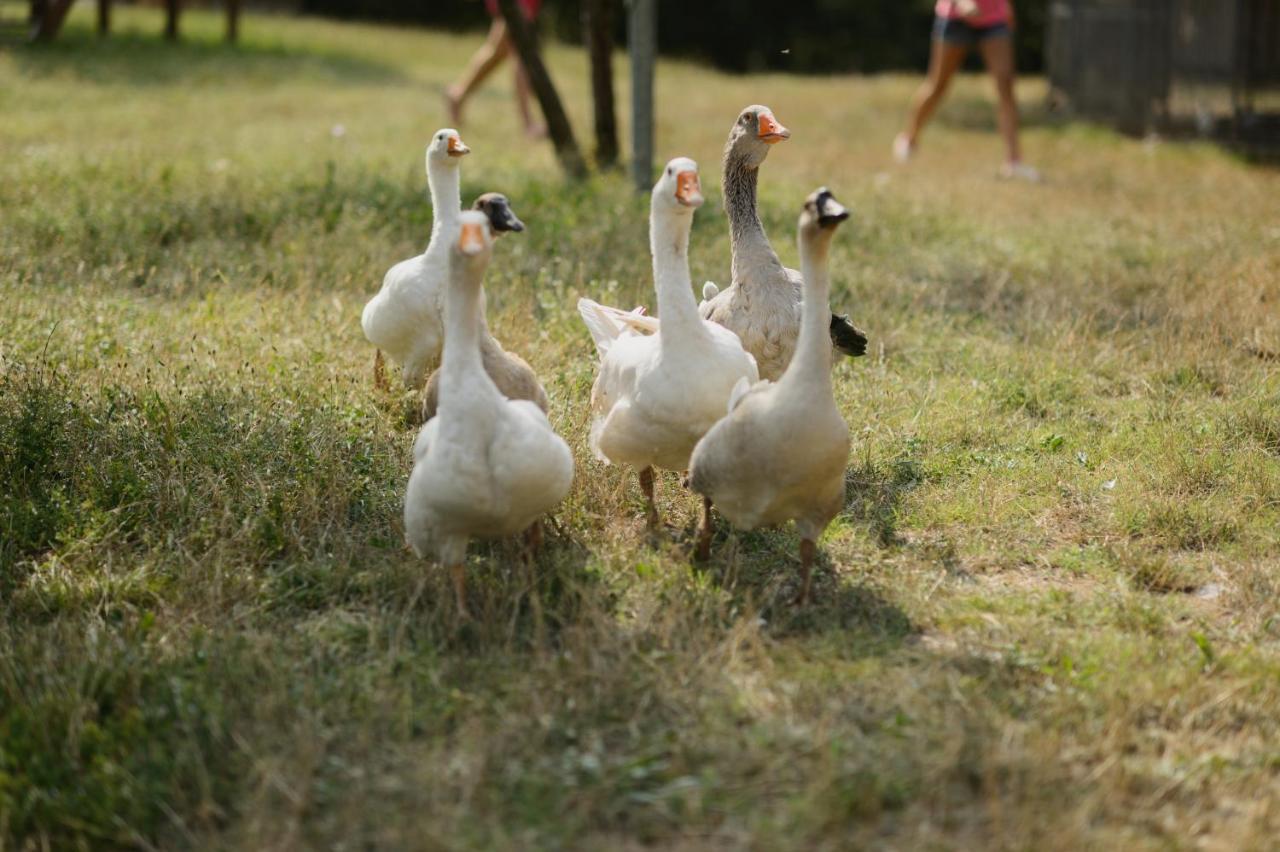 Agriturismo Spigolo Avesa المظهر الخارجي الصورة